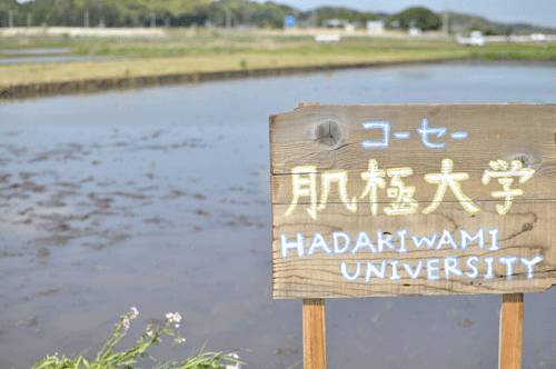 田植え～収穫までを体験することができる
