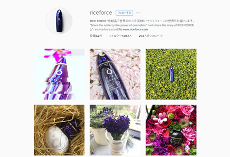 ライスフォース公式アカウントのInstagramページ