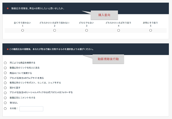 参考資料.ブランドリフト調査の質問票（一部抜粋。リードバナー形式）GlassView Japan提供