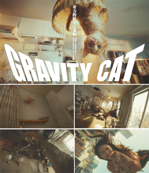 GRAVITY CAT