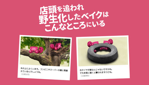 キャンペーン裏サイト