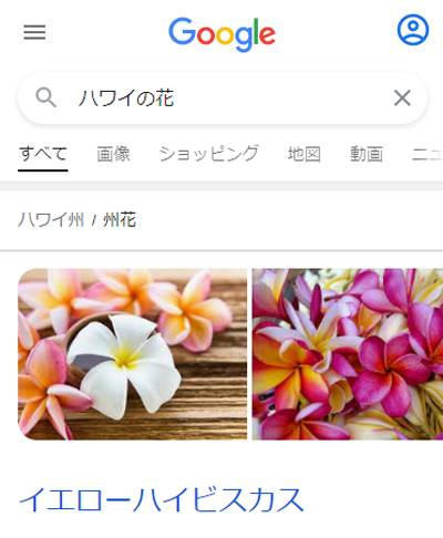 「ハワイの花」のスマホ検索結果