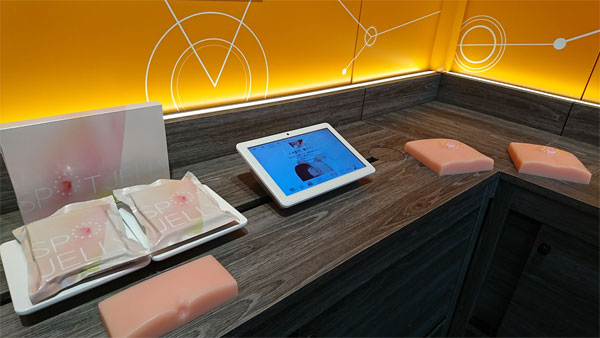 『SPOT JELLY へそごまパック』とへその模型