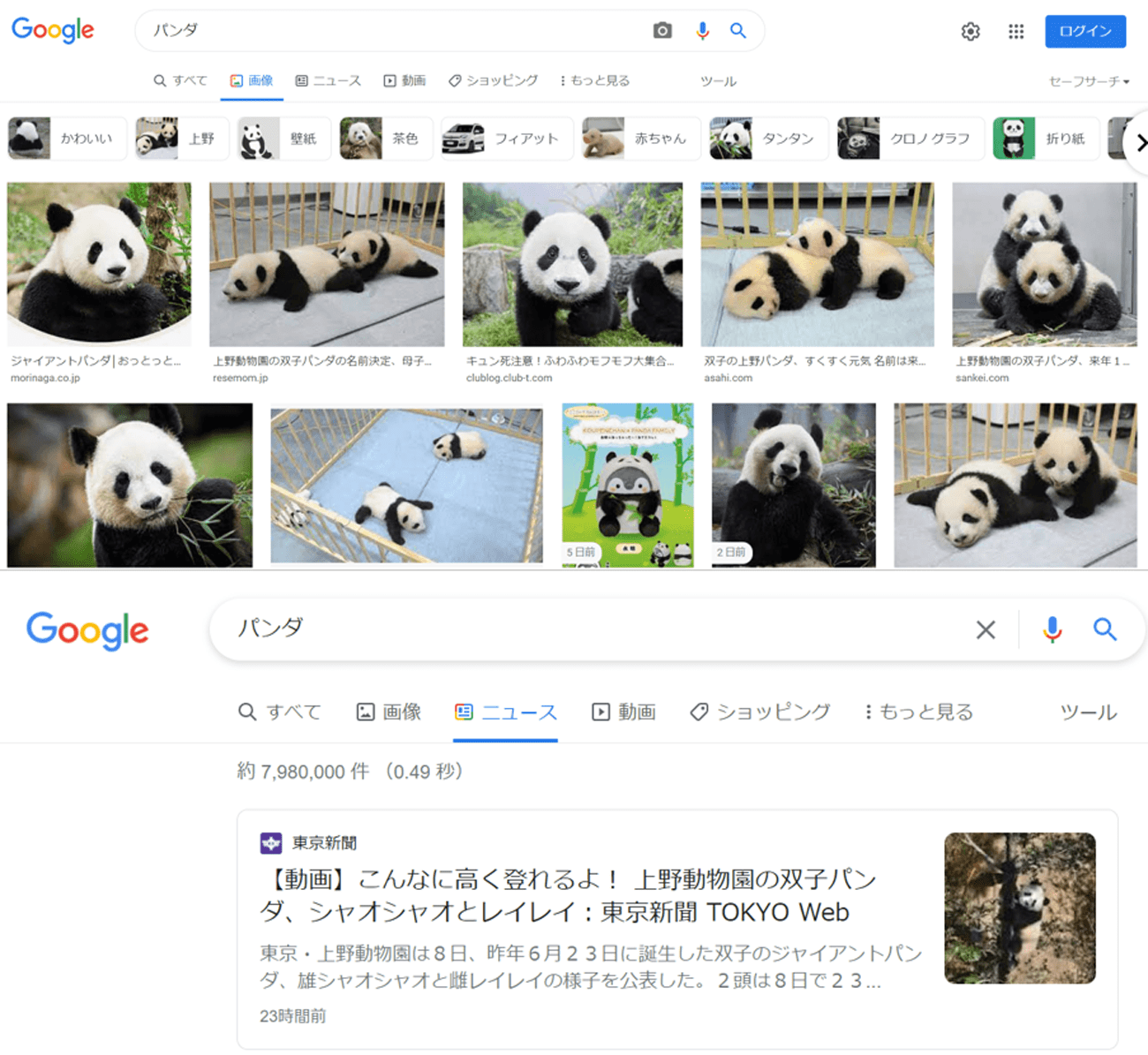 （上）画像検索、（下）ニュース検索