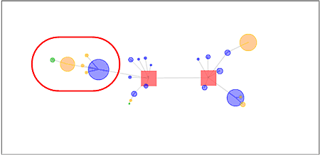 図1.バイラルマップ:正方形はブログパーツ配布サイト、玉はブログ、大きさは視聴数、線は感染関係を表している