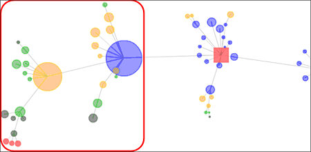 図2.クラスタ成長後のバイラルマップ、図1に比べ感染が広まったのが見て取れる