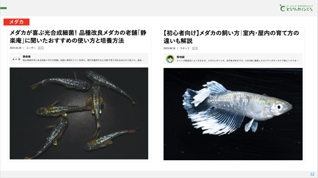 画像を説明するテキストなくても可