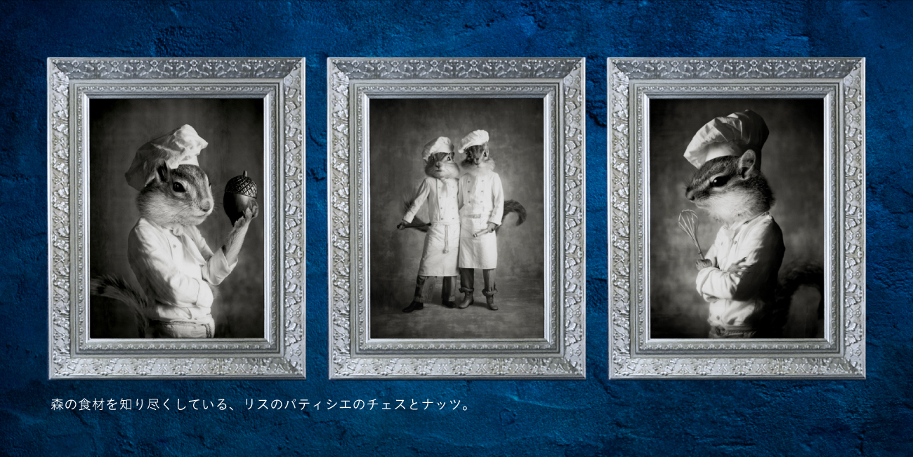 画像を説明するテキストなくても可