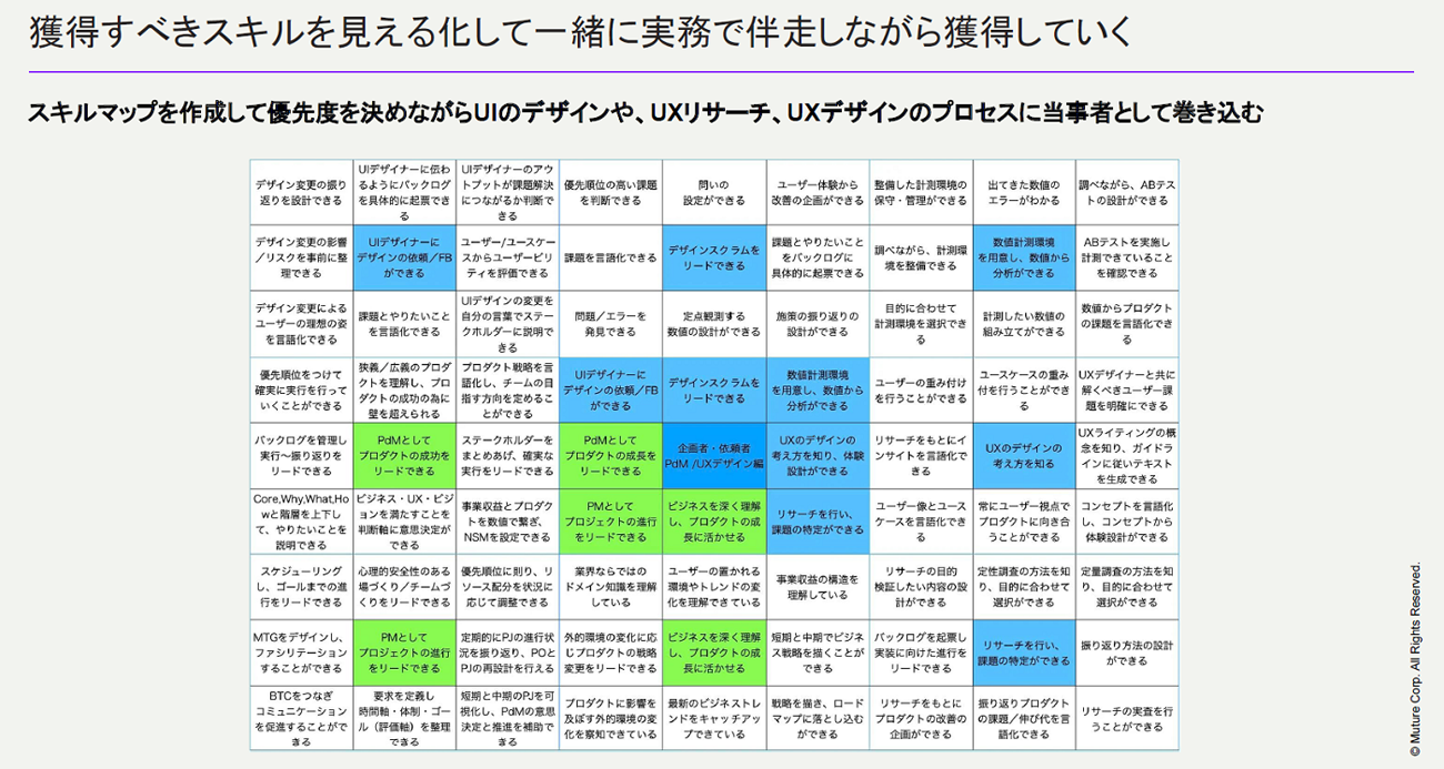 実際に用いられたスキルマップ