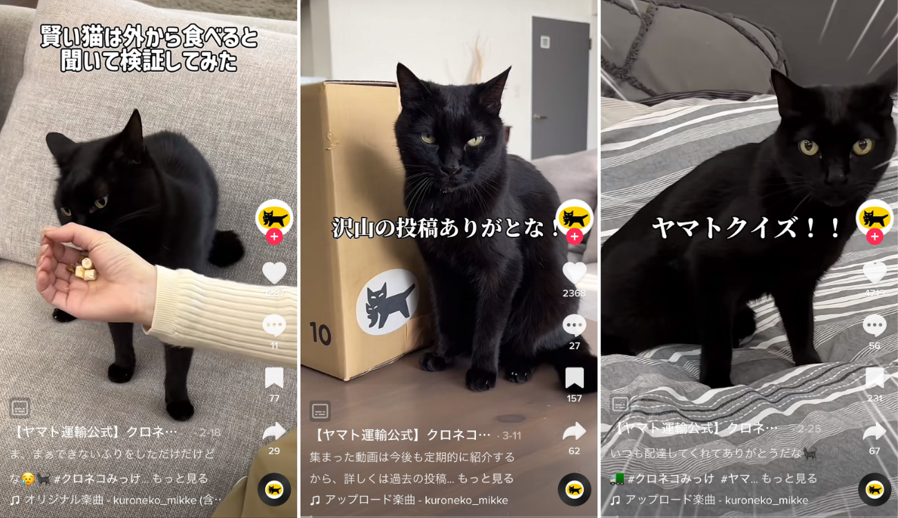 クロネコみっけのコンテンツ（TikTokより）