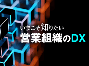 300DX.png