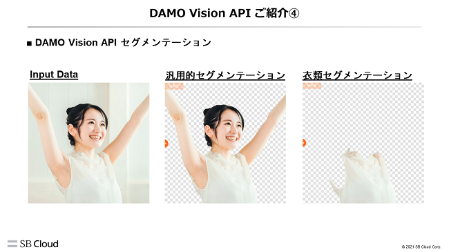 DAMO Vision API セグメンテーション
