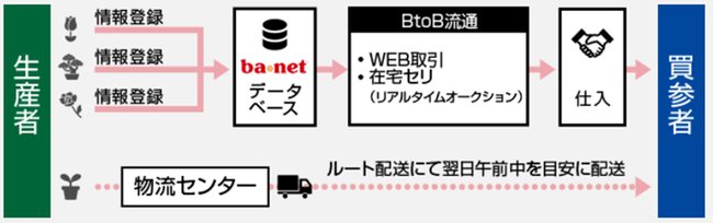 ba*netの仕組み