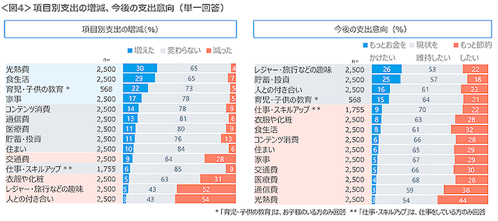 支出意向