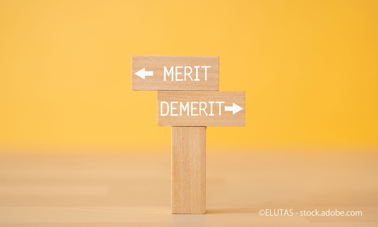 「MERIT」「DEMERIT」と書かれた積み木
