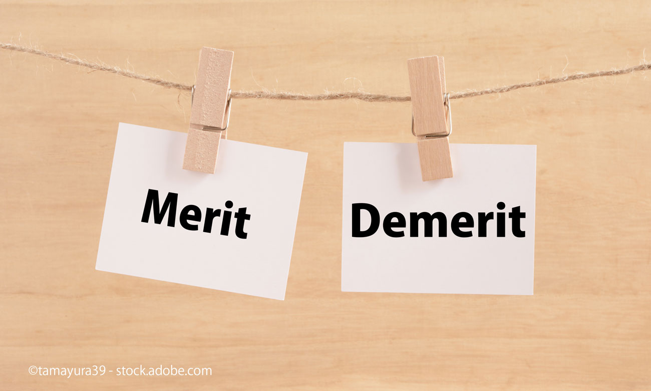 Merit Demerit