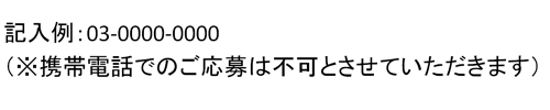 具体的な入力例を示す
