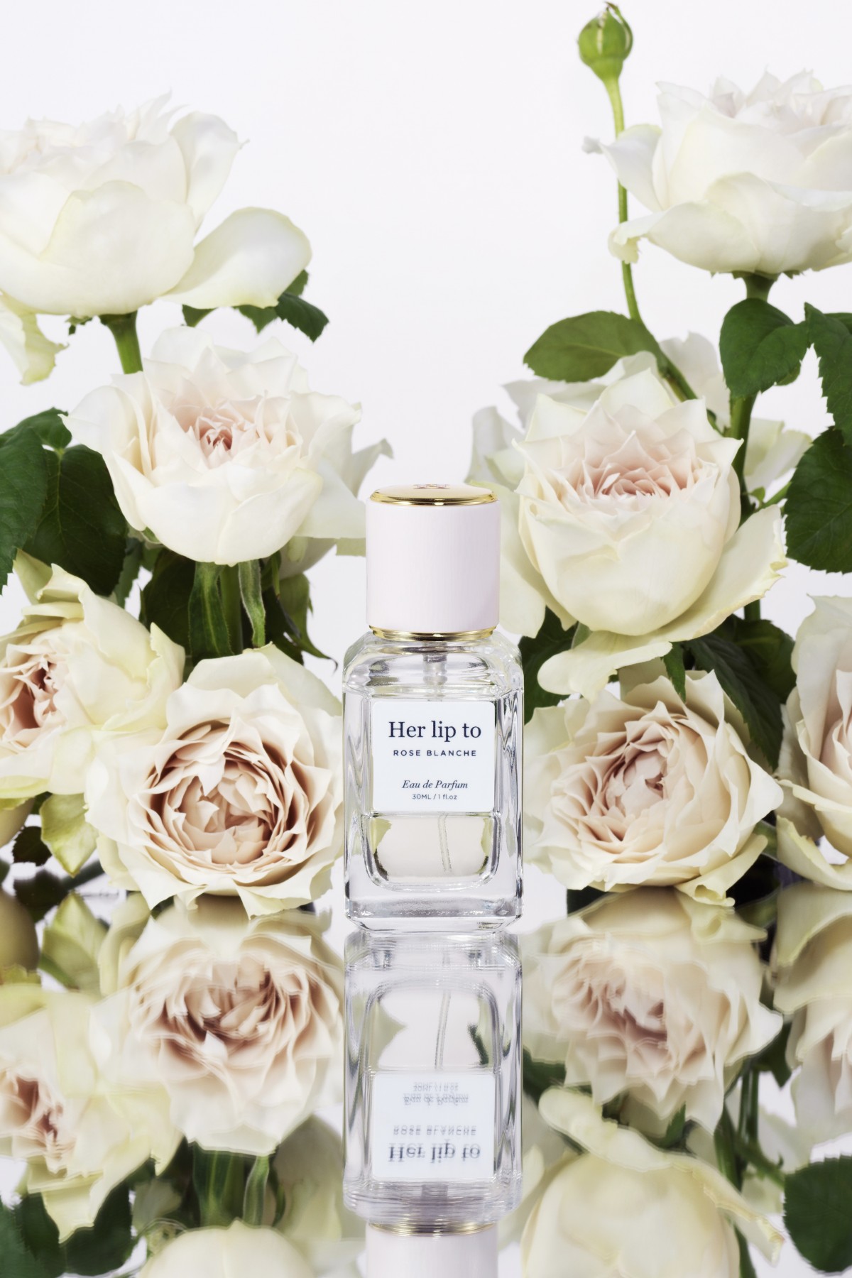 ＜ROSE BLANCHE＞