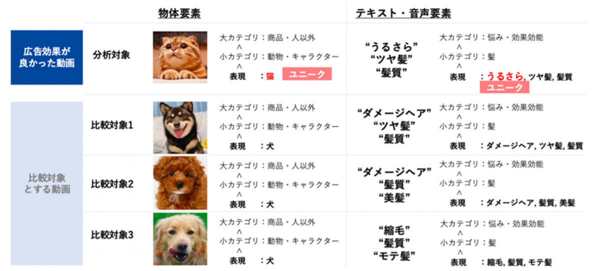 表現チェック